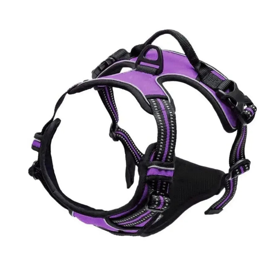 Leather Dog Collar & Harness Set with Leash – Adjustable Vest for Small & Medium Dogs